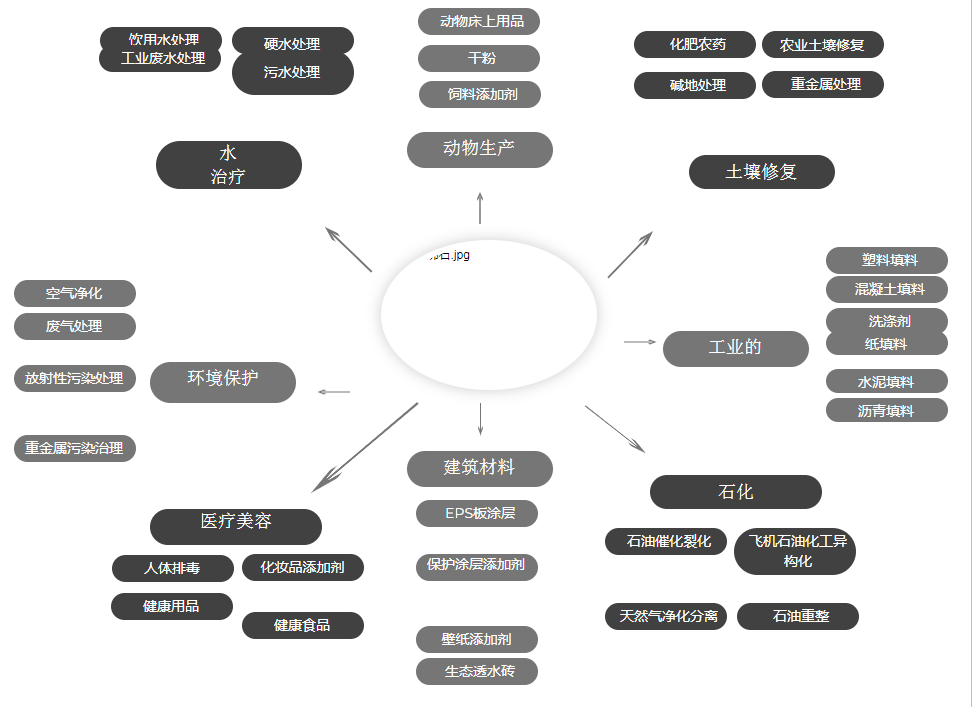 斜發(fā)沸石及應(yīng)用-國(guó)投盛世
