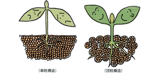 沸石如何應(yīng)用于土壤改良領(lǐng)域？
