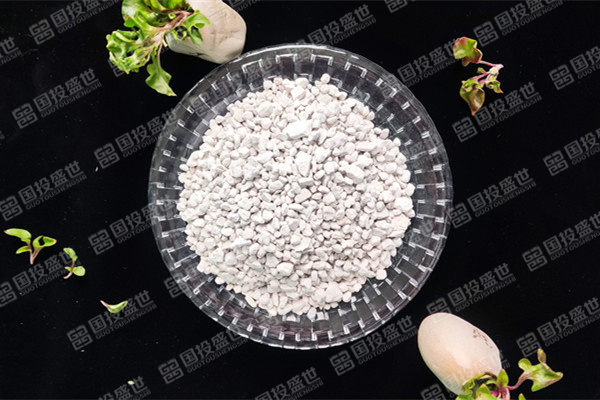 沸石在環(huán)境修復中的作用有什么？-國投盛世