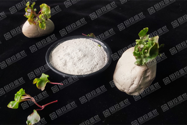 沸石在化妝品中的應(yīng)用-國投盛世