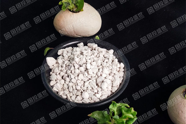 種植多肉植物時(shí)應(yīng)用沸石的好處-國(guó)投盛世
