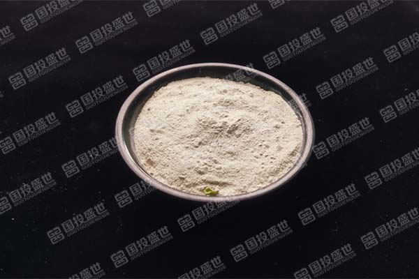 國投盛世的沸石牙膏是什么？