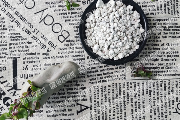 沸石在多肉植物養(yǎng)護中的作用及方法