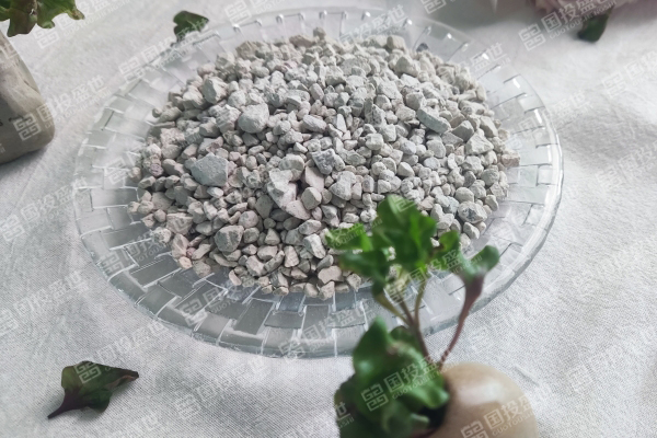 沸石的主要理化性能進(jìn)行分析