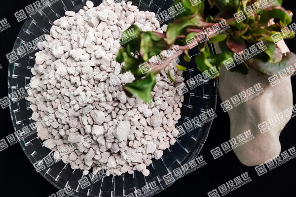 沸石在人工濕地中的作用-國投盛世