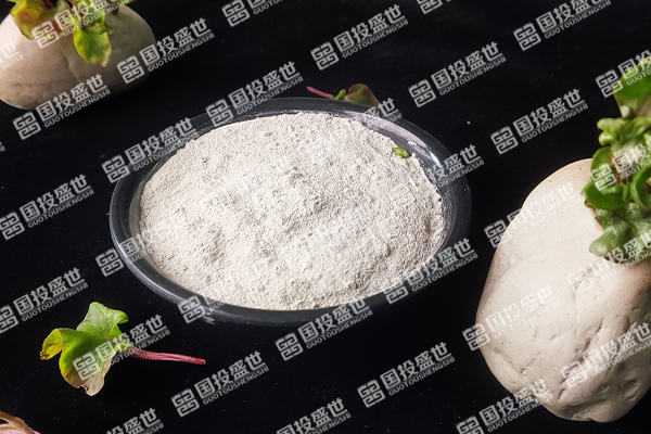 沸石粉：探索其作用與發(fā)展趨勢-國投盛世