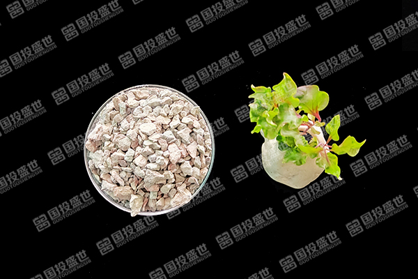 沸石能否成為水稻種植的綠色伙伴？