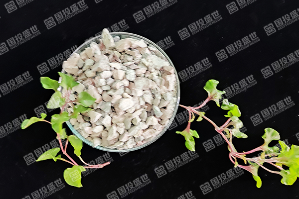 沸石在蘋果樹種植中有哪些優(yōu)勢？