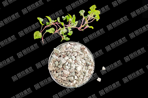 沸石能否成為草莓種植的好幫手？