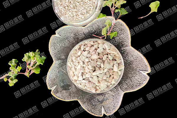 沸石能否提升蔬菜種植效果？