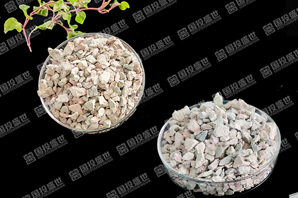 天然沸石如何助力番茄種植邁向綠色高效？-國投盛世
