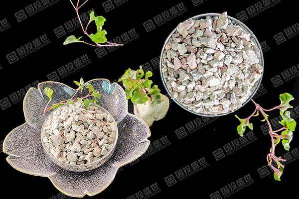 沸石在牡蠣養(yǎng)殖中有何益處？