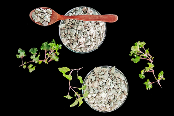 種植黃豆時(shí)能使用沸石嗎？-國投盛世