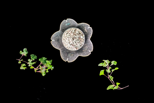 天然沸石對(duì)油菜種植有什么影響？-國(guó)投盛世