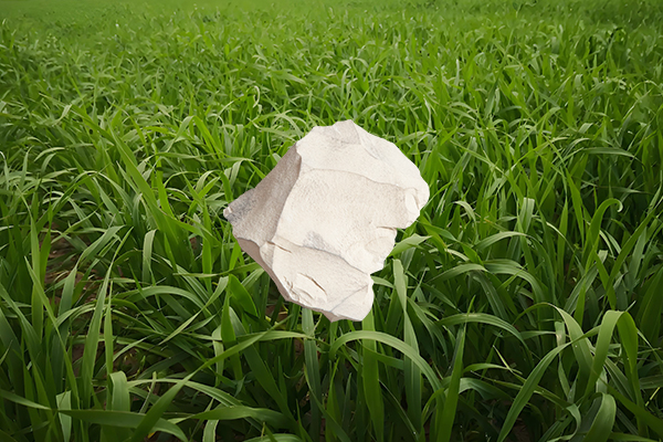 用天然沸石給燕麥種植是否能顯著提高產(chǎn)量？-國投盛世