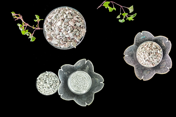 沸石能為芥菜增產(chǎn)提供幫助嗎？