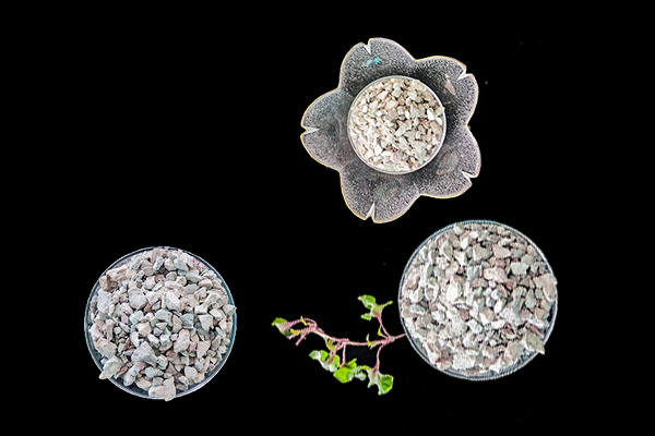 萵苣種植時(shí)添加沸石能提升產(chǎn)量嗎？