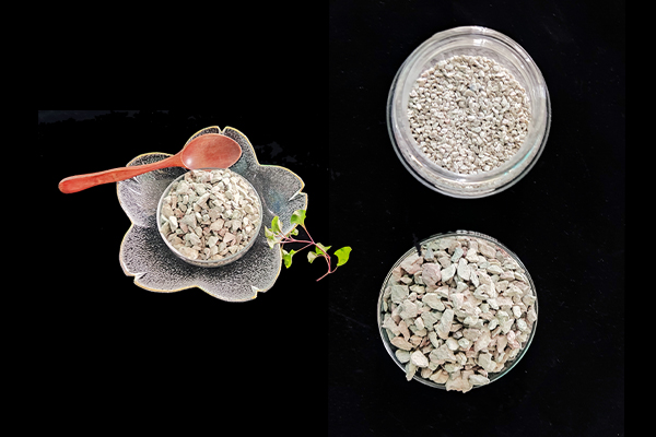 種植四季豆時(shí)加入沸石能提高產(chǎn)量嗎？-國投盛世