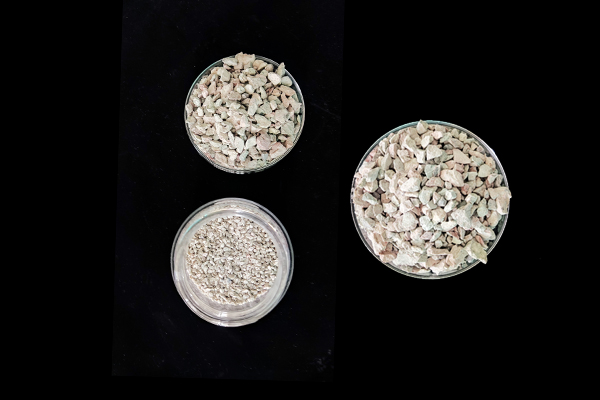 玉米種植何時(shí)添加沸石效果最佳？